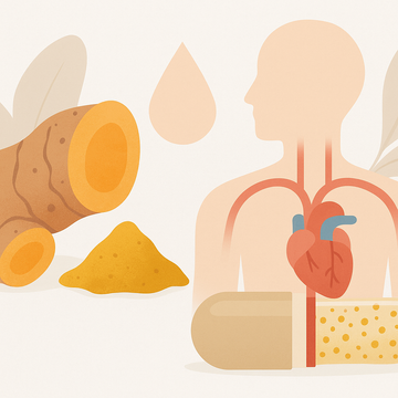 Turmeric vs Curcumin: What Actually Reaches Your Bloodstream