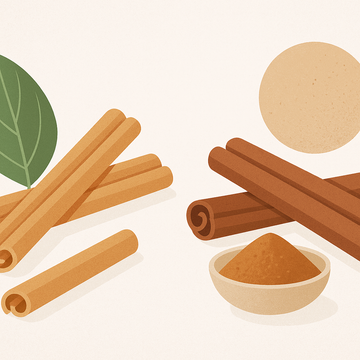 Ceylon vs Cassia Cinnamon: The Coumarin Difference That Matters