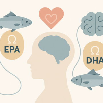 Omega-3 EPA vs DHA: Which One Your Heart and Brain Actually Need