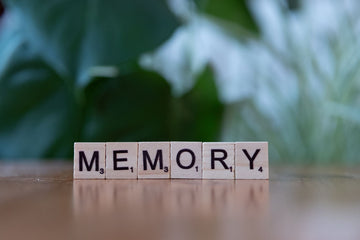 Exercises to Improve Memory: What Actually Works (I Checked the Studies)
