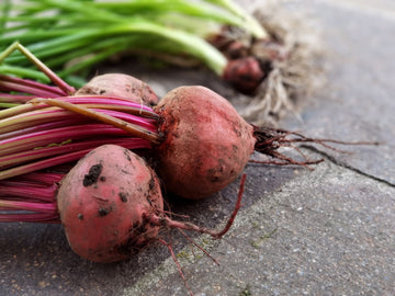 Fermented Beet Root: What the Science Actually Says About Nitrates, Gut Health, and Real Benefits