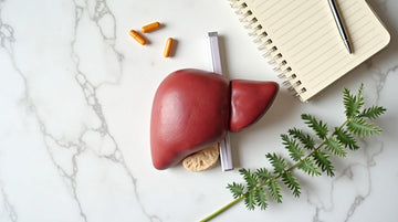 Liver Supplements: The Complete Guide to Ingredients, Benefits, Safety & How to Choose (2026)