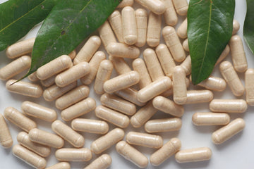 Sea Moss Capsules: What the Science Actually Says (And What It Doesn't)