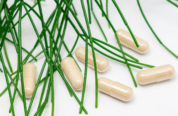 Sea Moss Supplement Side Effects: What I Found After Digging Through the Actual Research